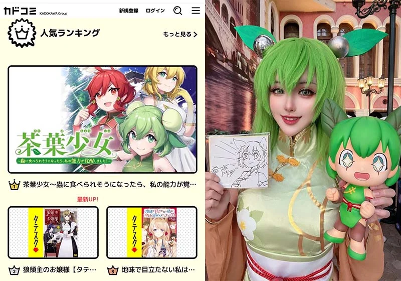 茶葉少女收藏卡